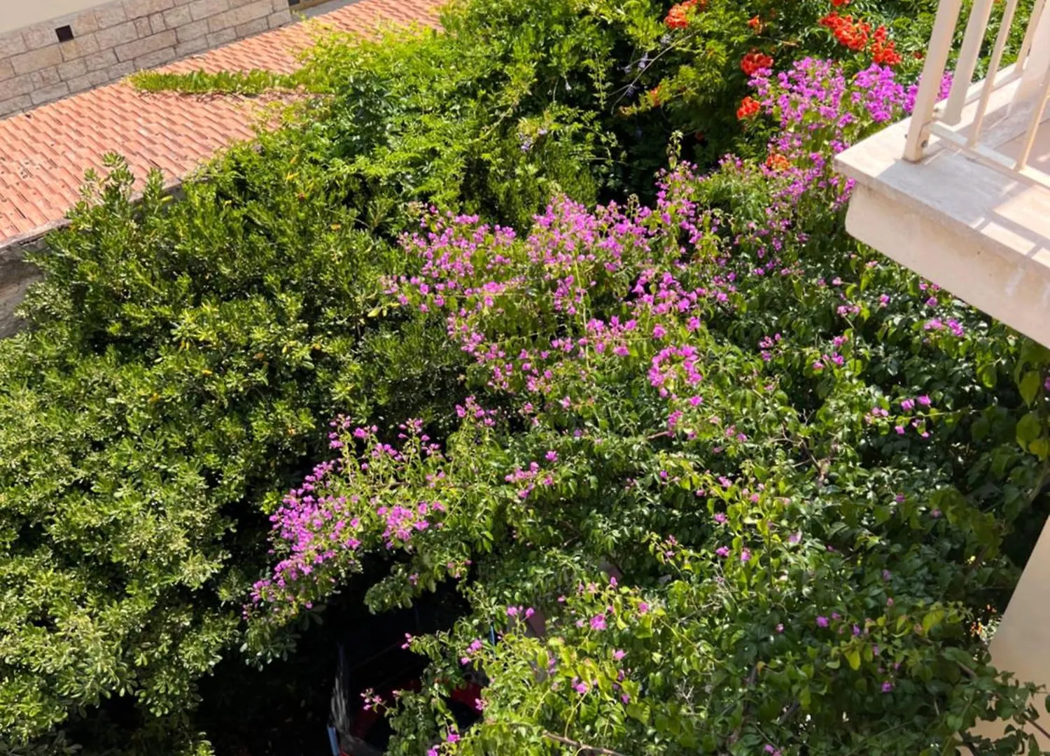 B&B Viale Italia 22 福洛尼卡 住宿加早餐酒店